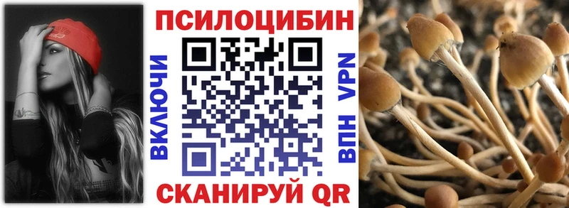 omg ссылка  купить наркотик  Сычёвка  Галлюциногенные грибы Magic Shrooms 